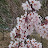@user-gi7ty4kw5f