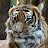@user-tl1vc7jp5v