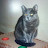 @user-yo9ed2oy5i