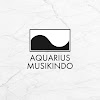 What could Aquarius Musikindo buy with $7.15 million?