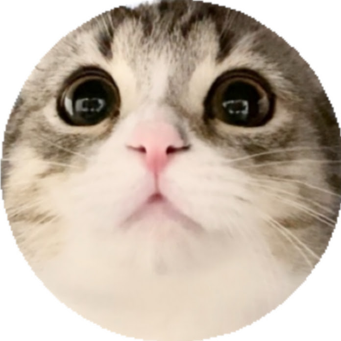 もち様の部屋 Net Worth & Earnings (2026)