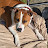 @darrennico8527 Avatar