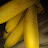 the Azteca banana