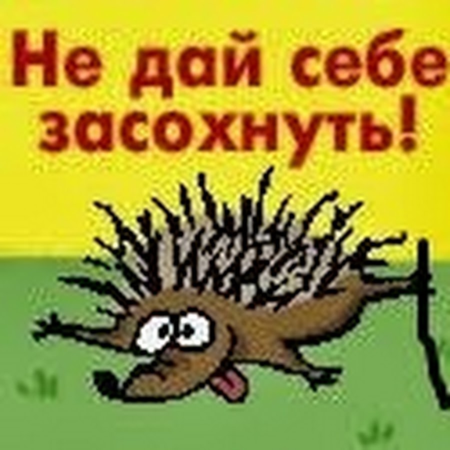 Люби себя чихай на всех и в жизни ждет тебя успех картинки прикольные