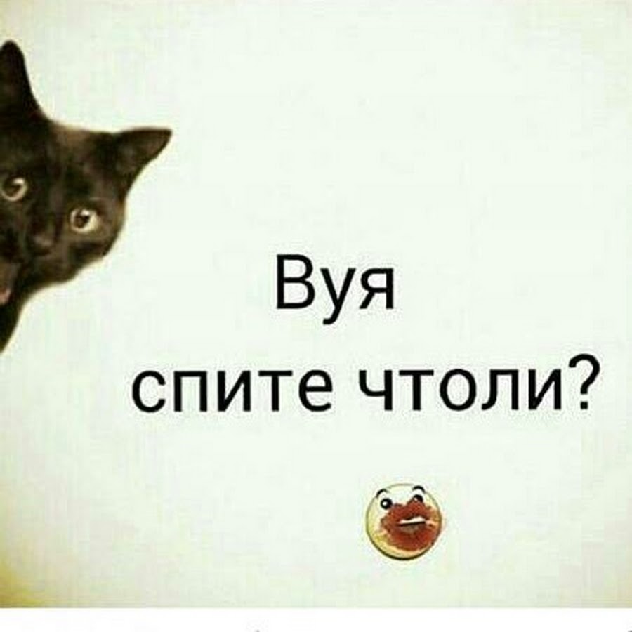 Картинка ты спишь что ли