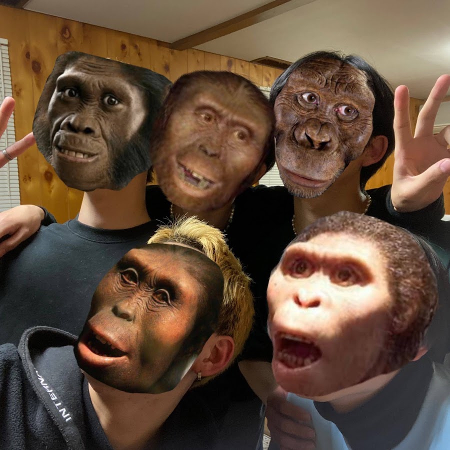 アウストラロピテクス アファレンシス Youtube