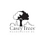 caseytrees - @caseytrees YouTube Profile Photo