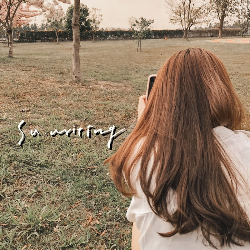 蘇寫su.writing - 網紅的藏寶箱 