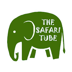 the safari tube thumbnail