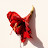 l company publish