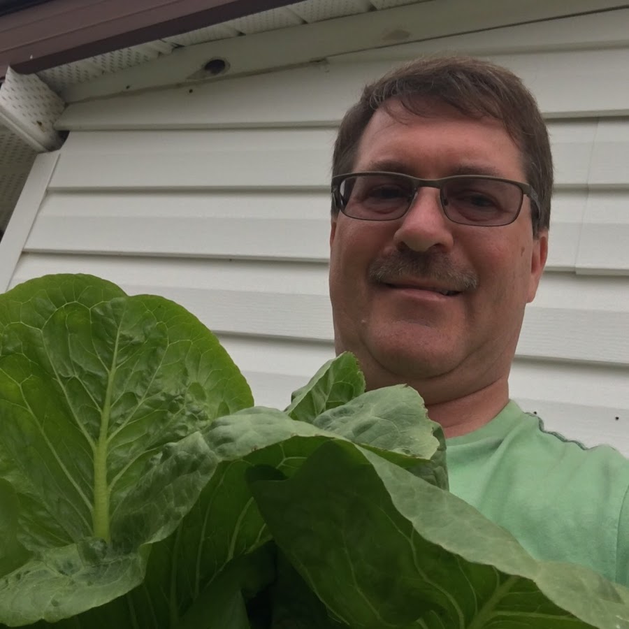 Pauls Backyard Garden Youtube