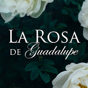 La Rosa De Guadalupe Musica De Suspenso Earrape Youtube