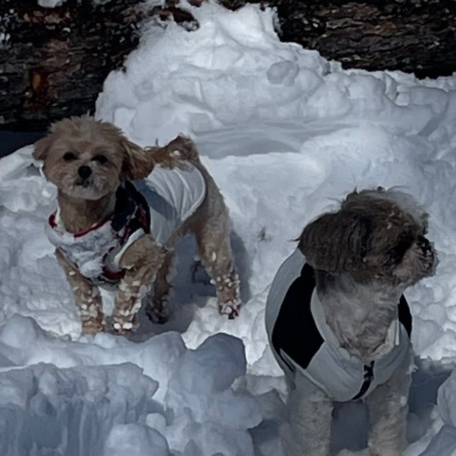 データ消えた少年2 Youtube