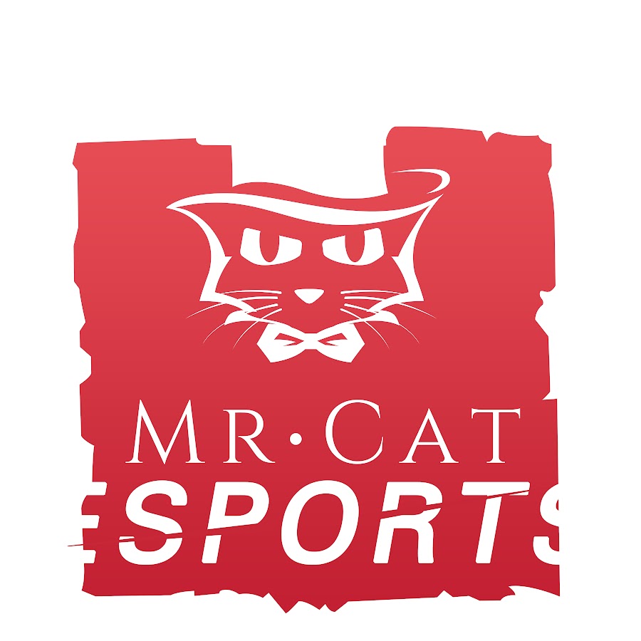 Mr cat is. Mr cat logo. Hello street cat кот мистерс слип. Mr cat is. Мистер кэт пицца.