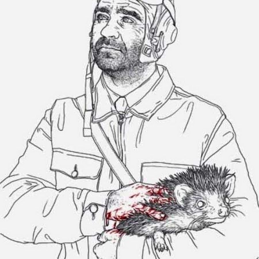 гладить ежика. ежик. гладить ежика. погладь пузико ежа. гладить ежика.