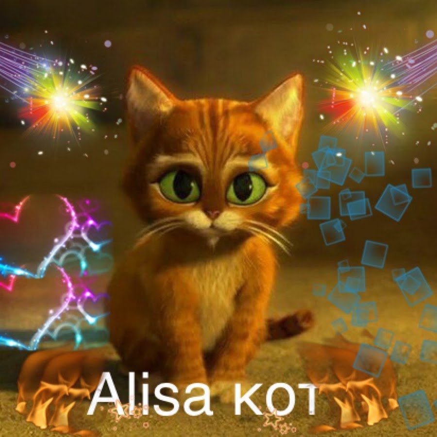 Включи коты любишь. Алиса покажи котиков. Алисапакажы котекаф. Включи мне котика. Алиса котиков котиков котиков.