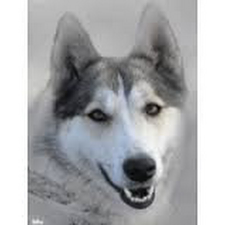 Картинки 210х185 пикселей