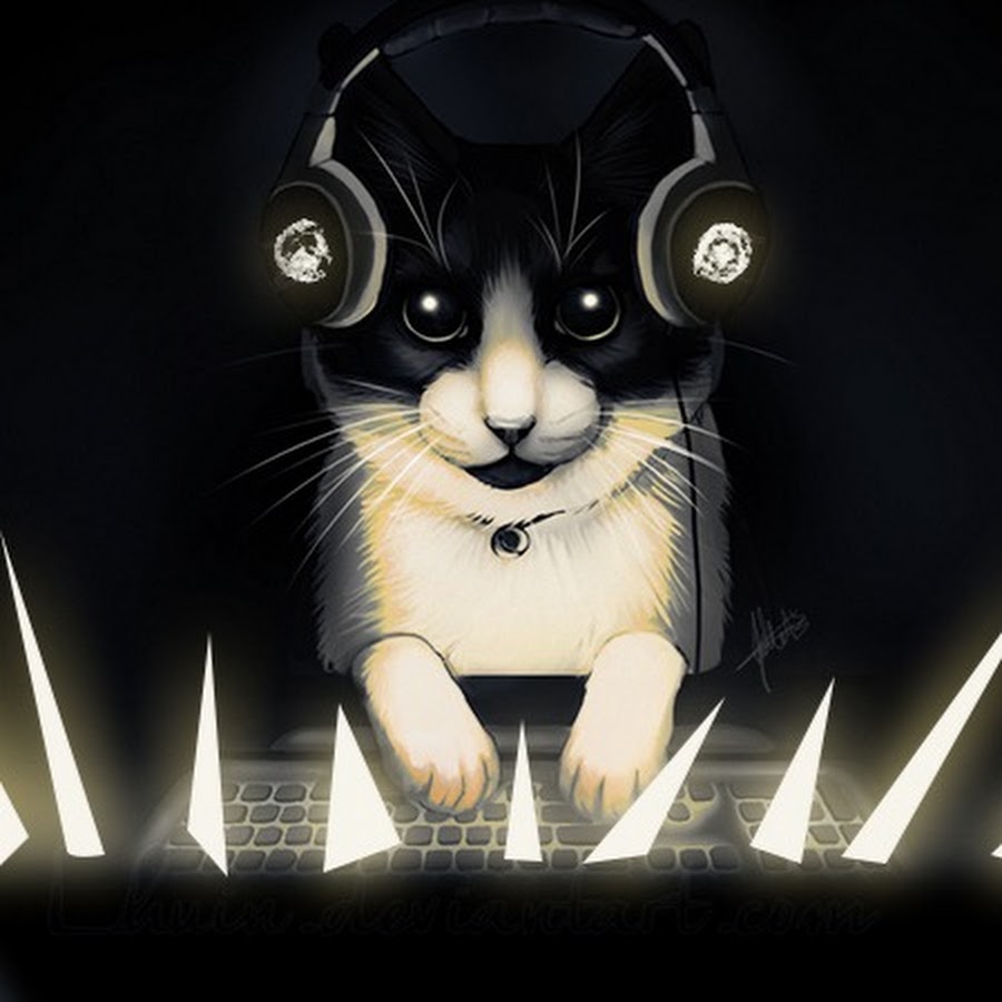 Картинки кот геймер