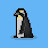 WhyNot Penguin
