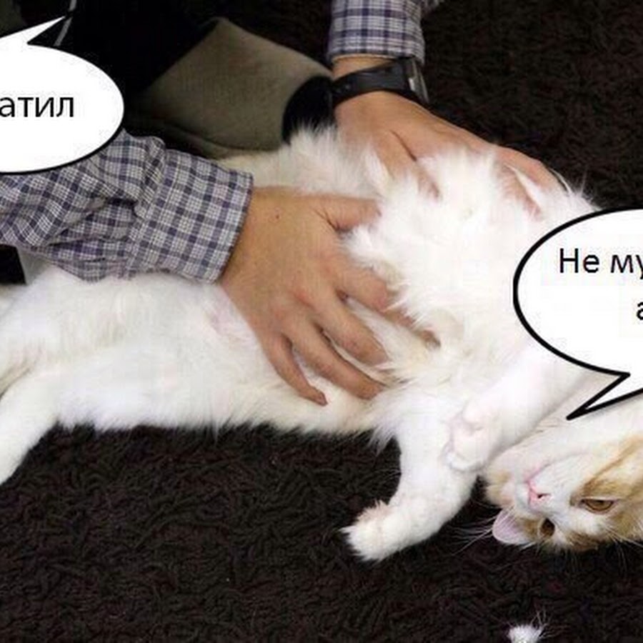 Не мучай отпусти