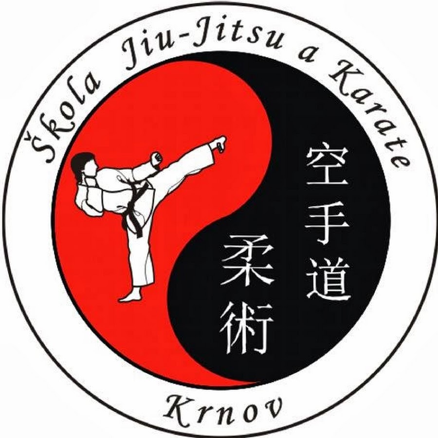 джиу-джитсу японское дзюдзюцу. каратэ rcc kyokushin fight. адам богданов джиу-джитсу. карате джитсу. джиу-джитсу японское дзюдзюцу.