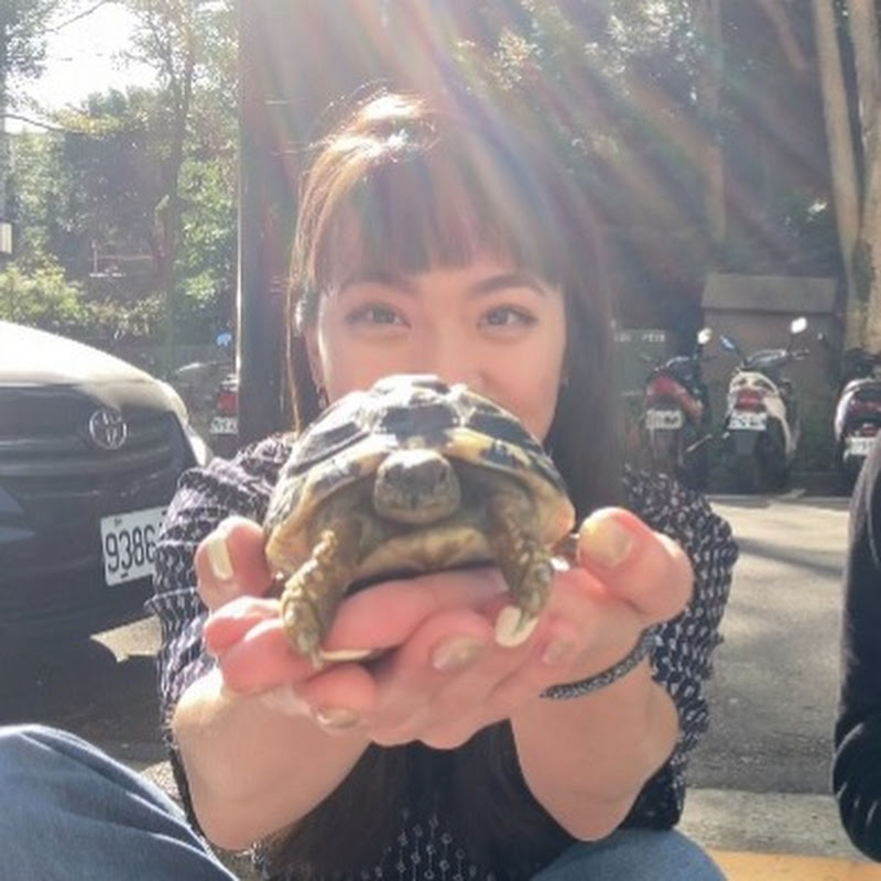 It's Lai 是我 - 網紅的藏寶箱 