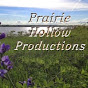Prairie Hollow YouTube Profile Photo