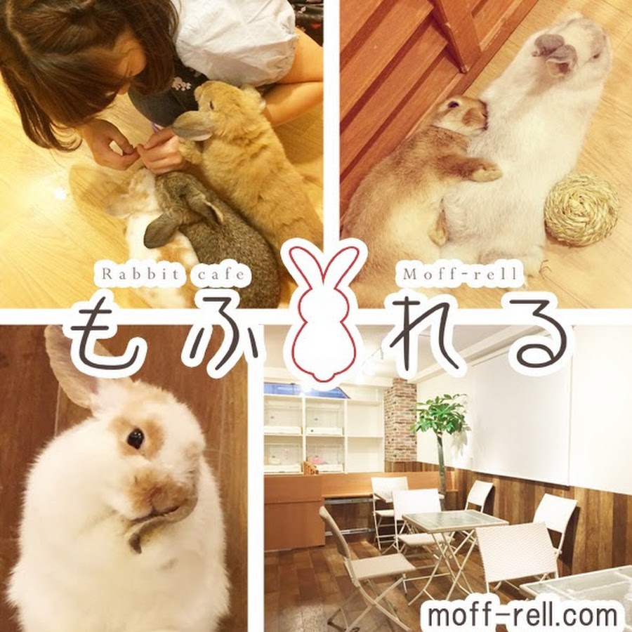 うさぎカフェ もふれる Youtube