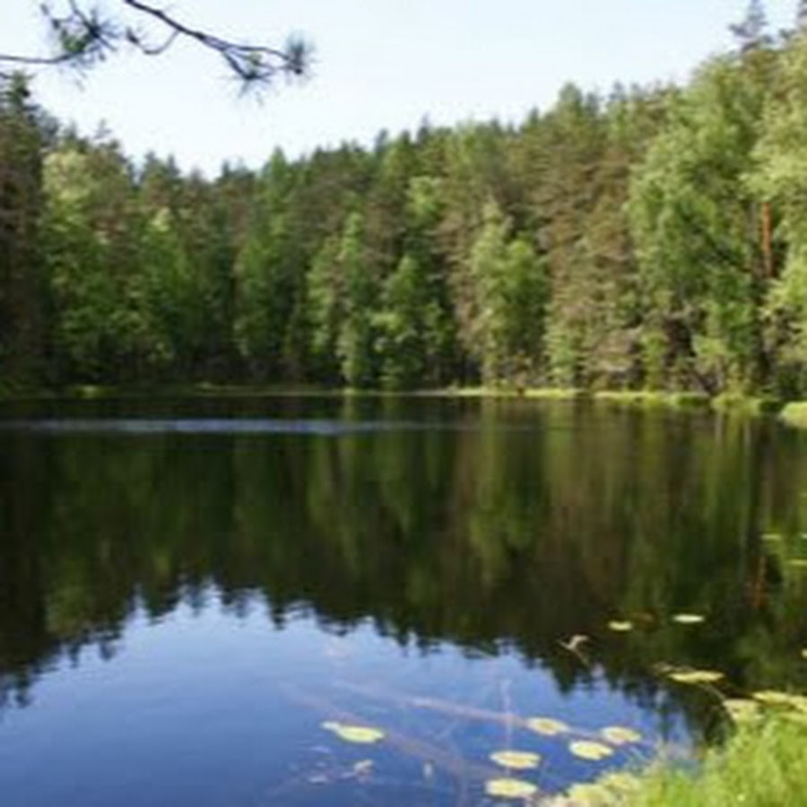 Витебские озера фото Витебские озера фото