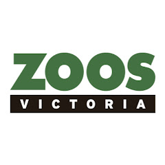 Zoos Victoria thumbnail