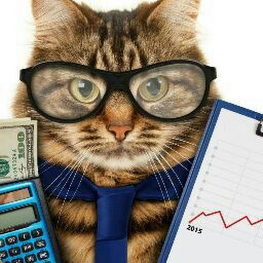 Кошка бухгалтер. Кот бухгалтер. Бухгалтер иллюстрация. С днем бухгалтера кот. Бухгалтер картинки.