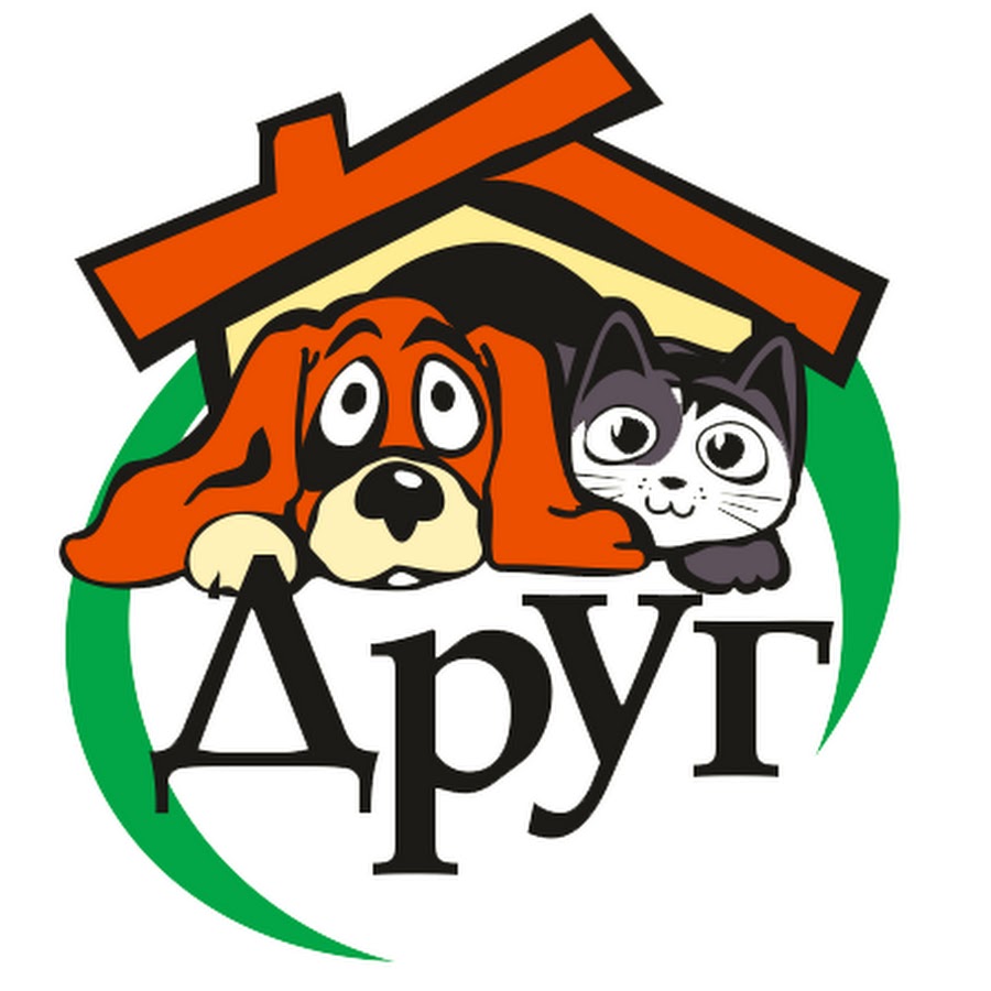 AKedOLQ66WSmnDguivoshIRk-_jQmMaJu2YL4I3VfcAKmg=s900-c-k-c0x00ffffff-no-rj