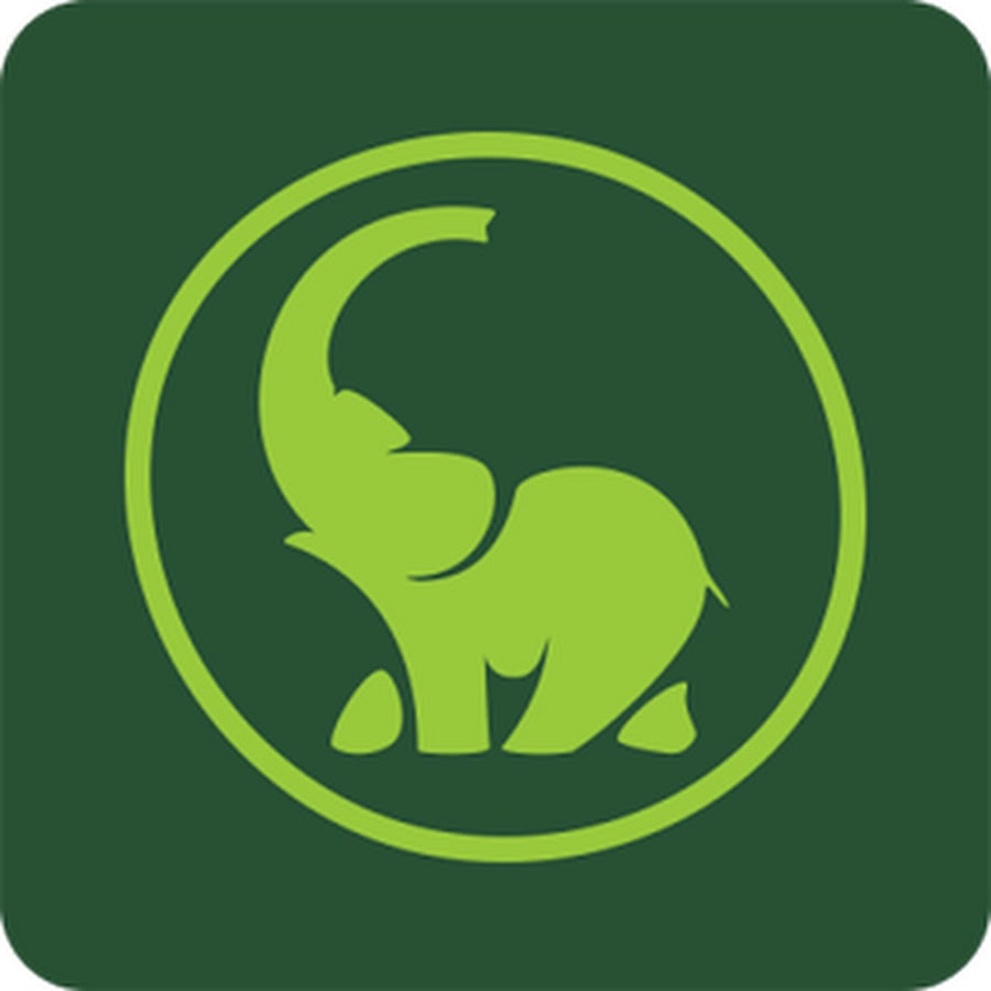 Зеленая слоновая. Зеленый слон логотип. Грин Элефант. Зеленый слон приложения. Салатовый слон.