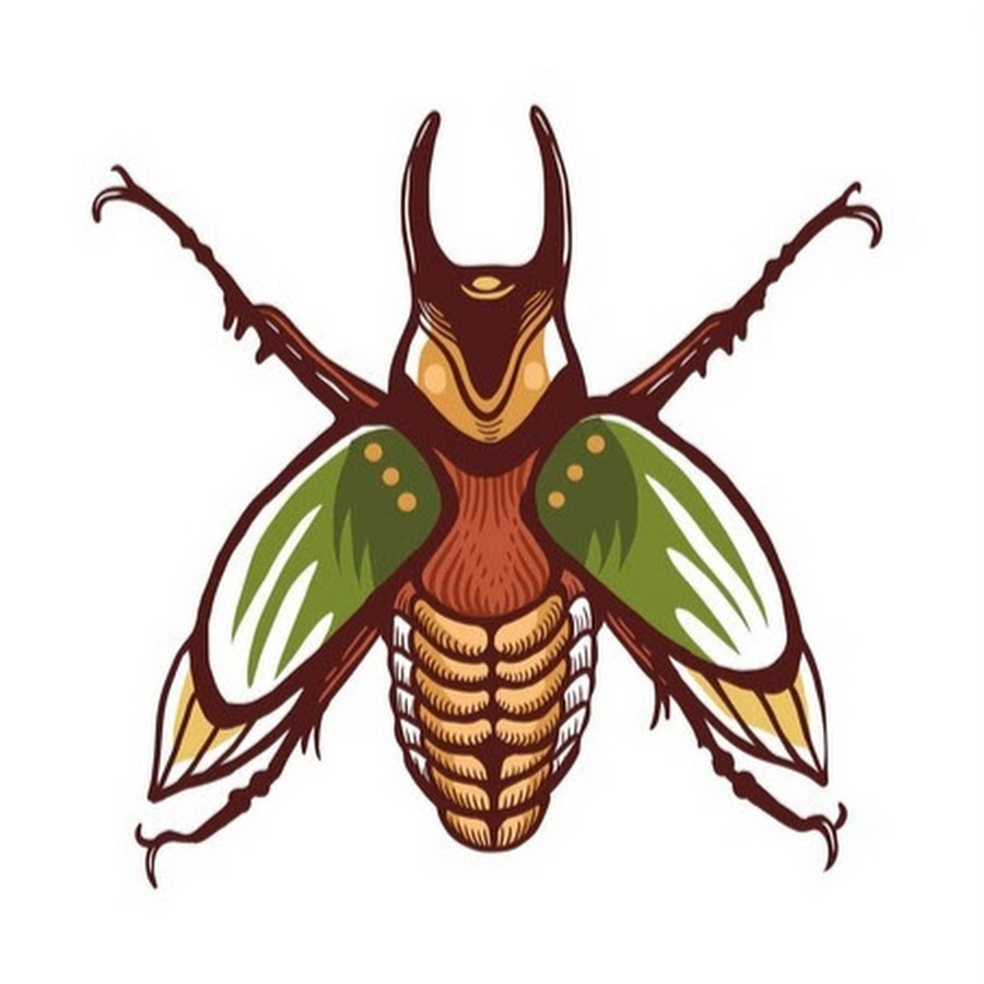 Буква ж в виде жука. Буква ж в виде жука. Ж похожа на жука. Буква ж похоже на жука. Буква ж в образе жука.