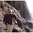 Tony Pulido Avatar
