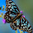 katrina g Avatar