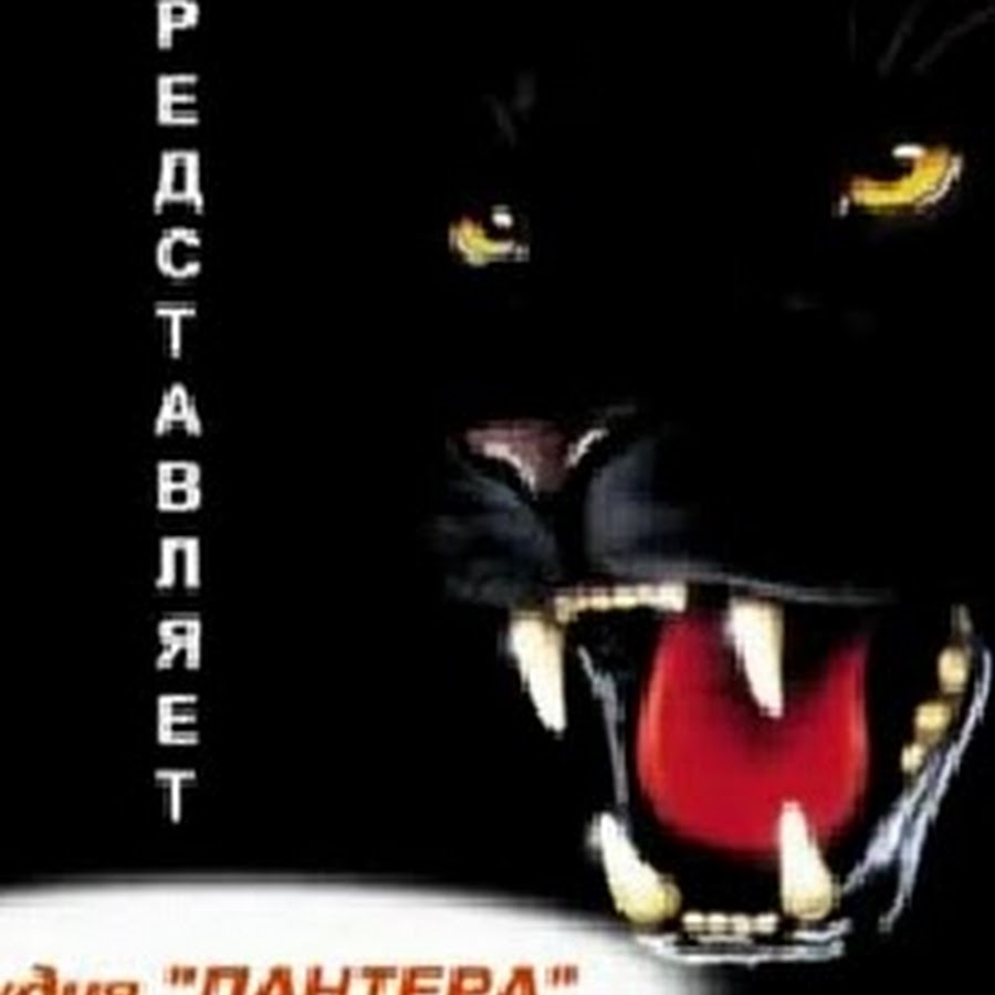 Пума меланист. Пантера животное. Она пантера я ее все. Она пантера я ее все. Она пантера я ее все.