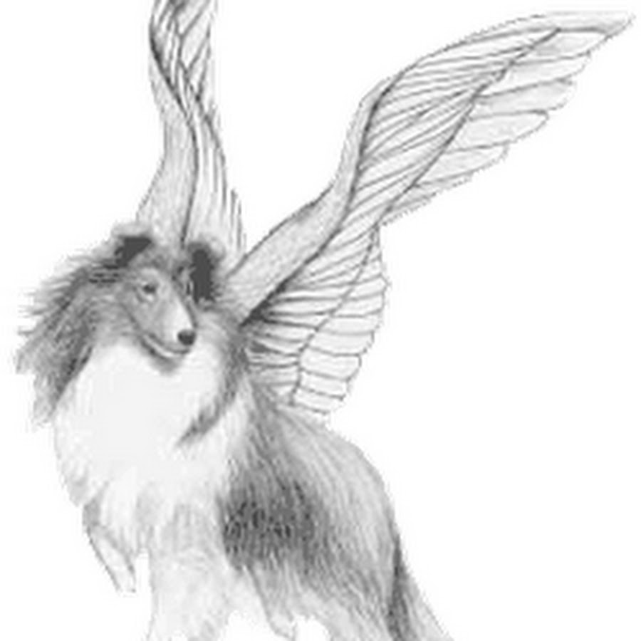 Ангел собака рисунок