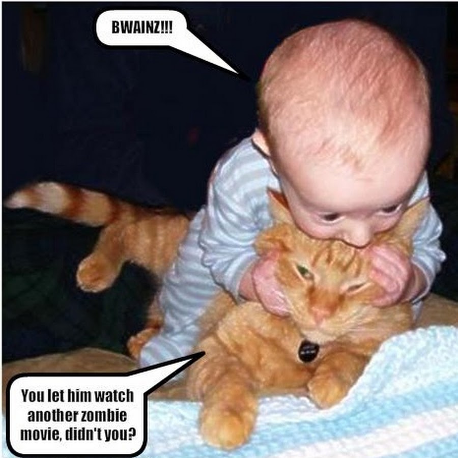 Кот и младенец юмор
