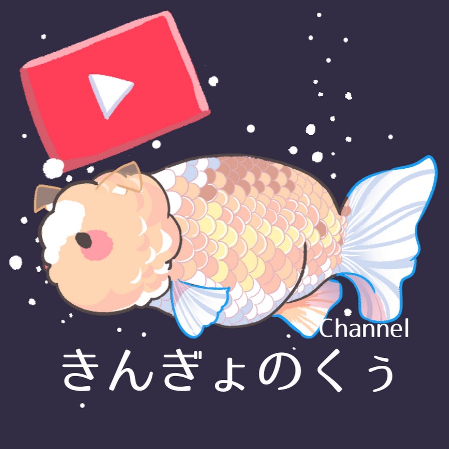 きんぎょのくぅ Youtube