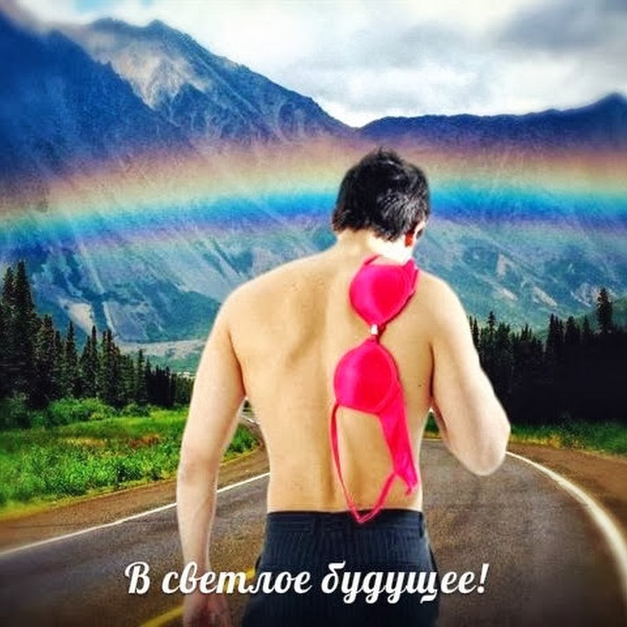 включи светлое видео. перемены к лучшему. калининградская область светофоры с котиками. радость жизни. светлое будущее люди.