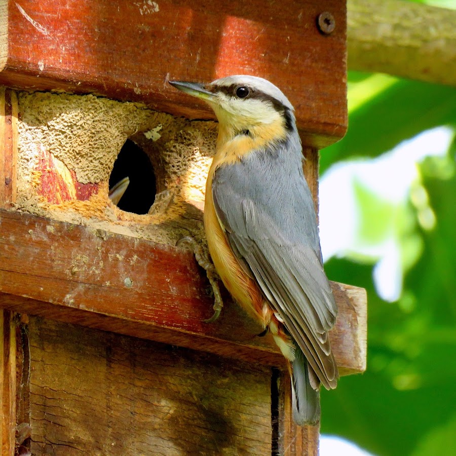 My way. Far caspian radio. Finding my. Far caspian. Blue couple.