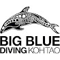 Big Blue Diving Koh Tao YouTube Profile Photo