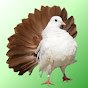 sale purchase birds YouTube Profile Photo