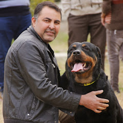 خالد Khaled K9 professional Dog training K-9 thumbnail