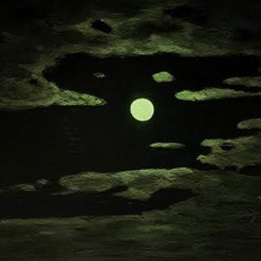 В картине лунная ночь на днепре публику буквально приводила в восторг иллюзия натурального лунного