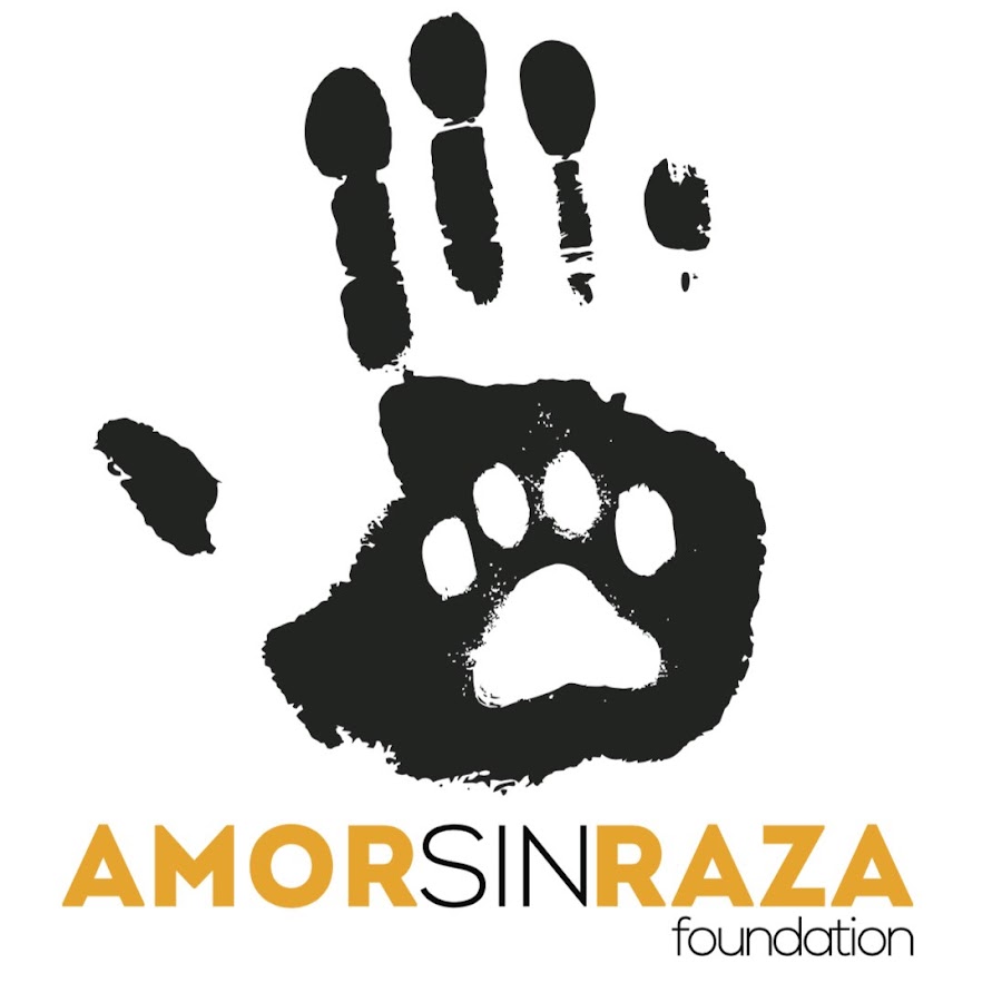AMOR SIN RAZA - YouTube