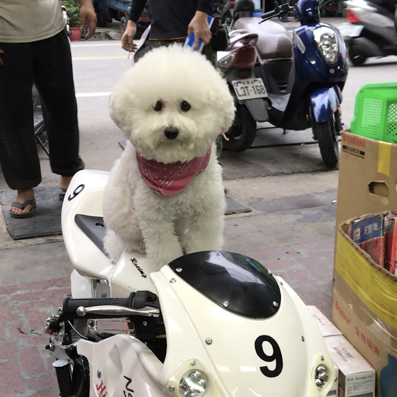 歐巴 - 網紅的藏寶箱 