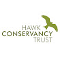 Hawk Conservancy Trust YouTube Profile Photo