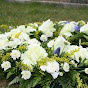 Webb Funeral Home YouTube Profile Photo